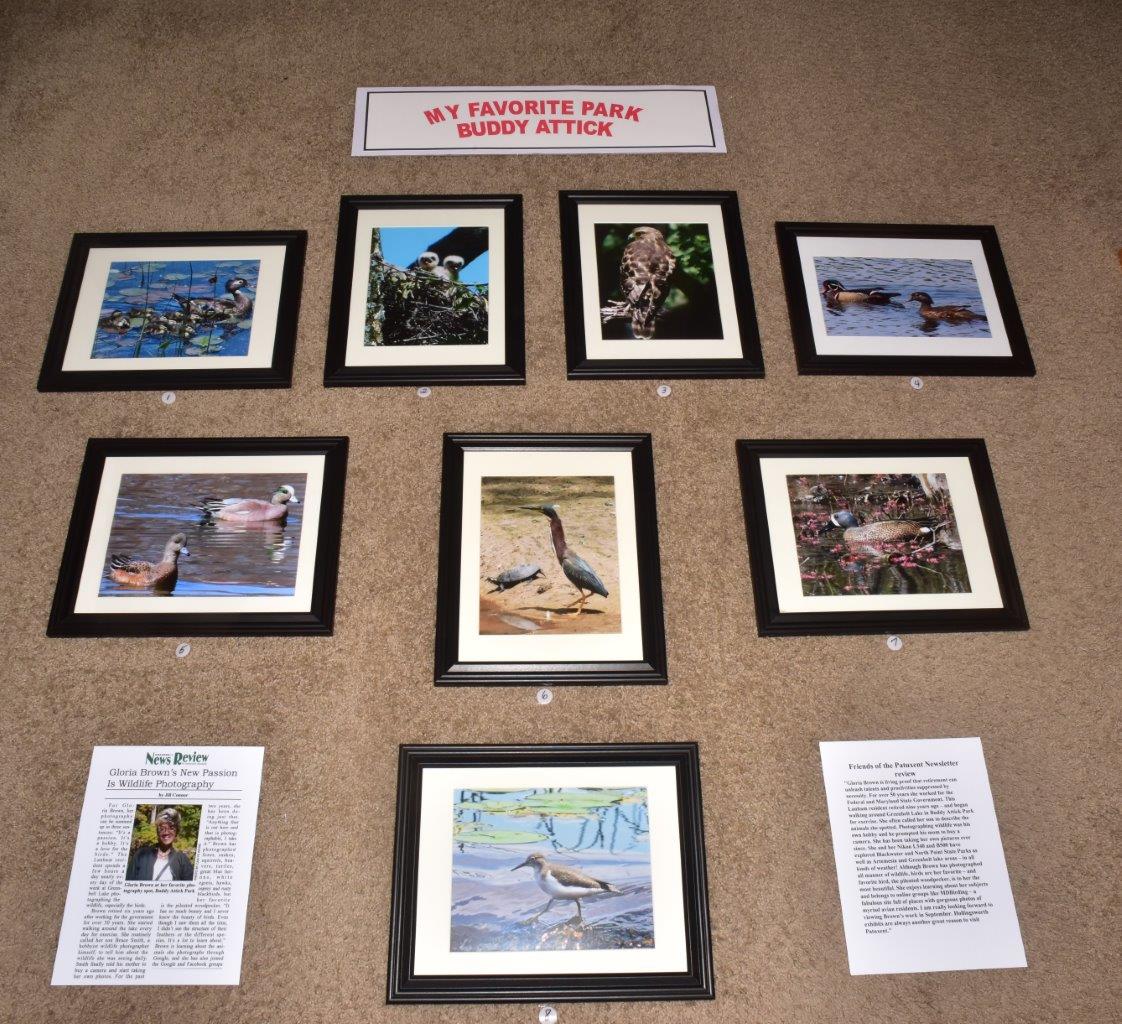 My Favorite Park Buddy Attick