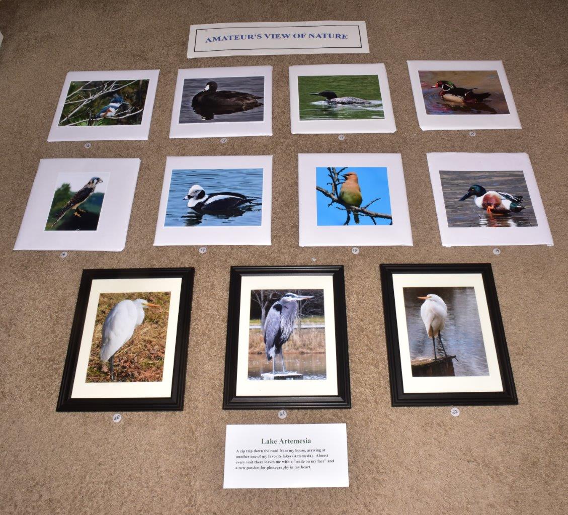 Amateur's View of Nature