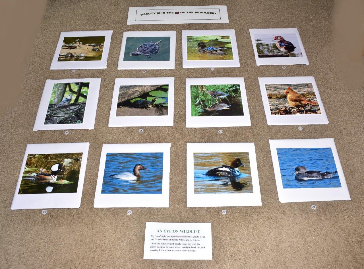 Beauty in the Eye of the Beholder