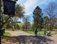 The Public Gardens