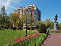 Outlook from Tulip Beds.