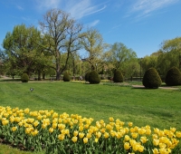 Colorful yellow, view towards the Lagoon