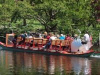 Boston The Public Gardens Swan Boat 