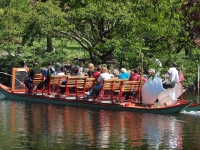 Swan Boat at the public gardens