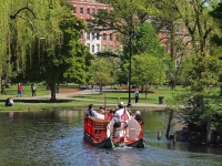 Swan Boat 