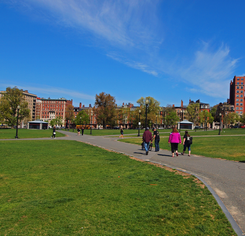 The Common expansive lawnentrance ways.