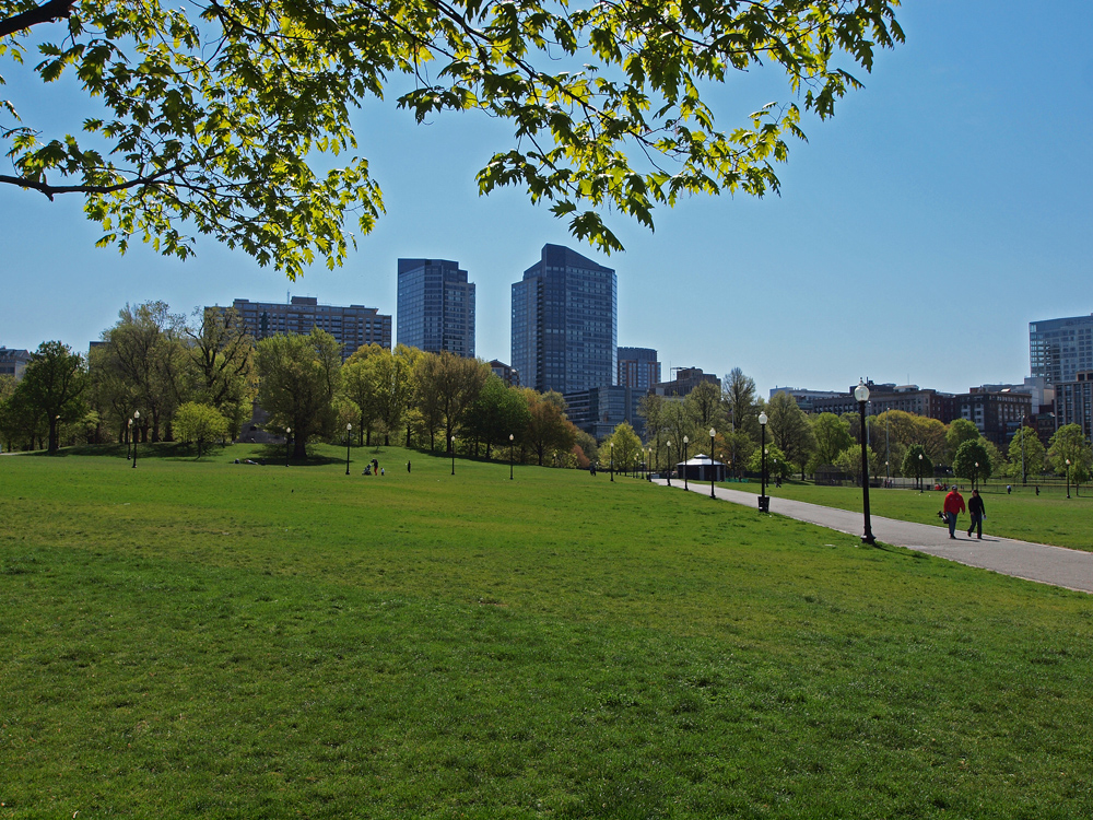 Boston Common lawn