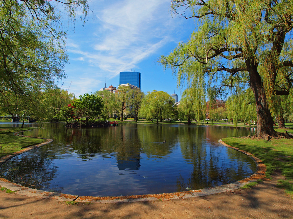 Early morning light on the lagoon
