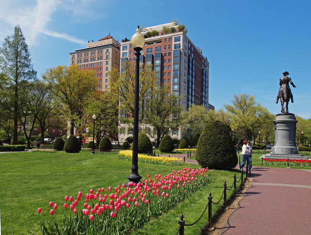 Outlook from Tulip Beds.