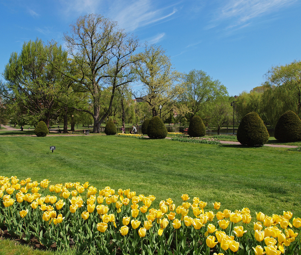 Colorful yellow, view towards the Lagoon
