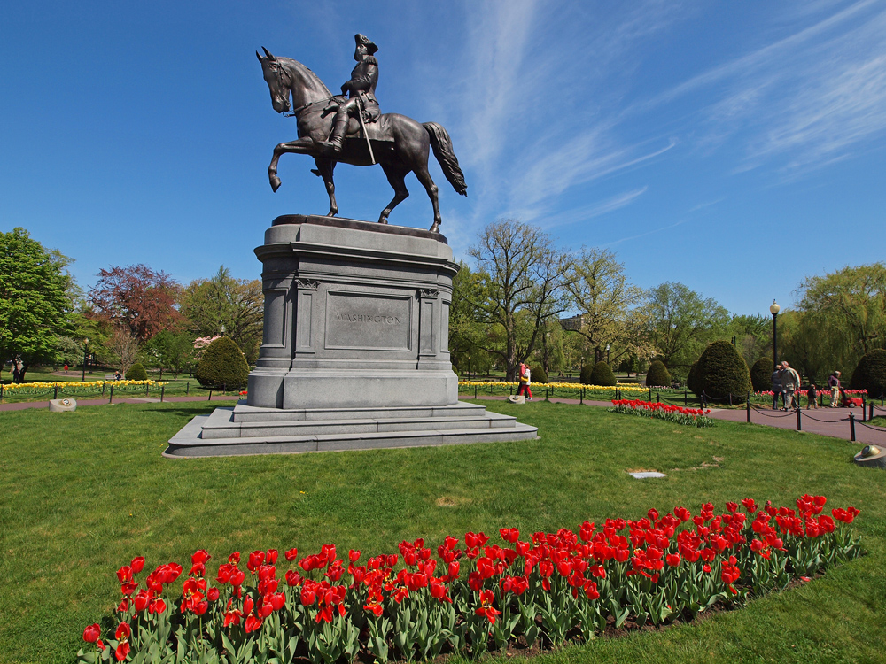 George Washington on horse