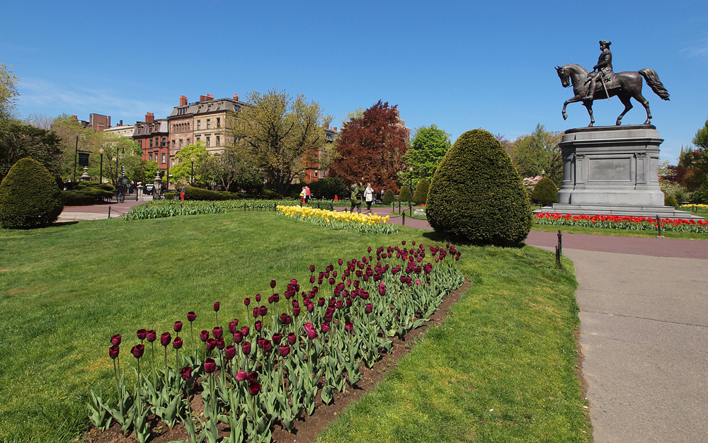 The Washington Monument 