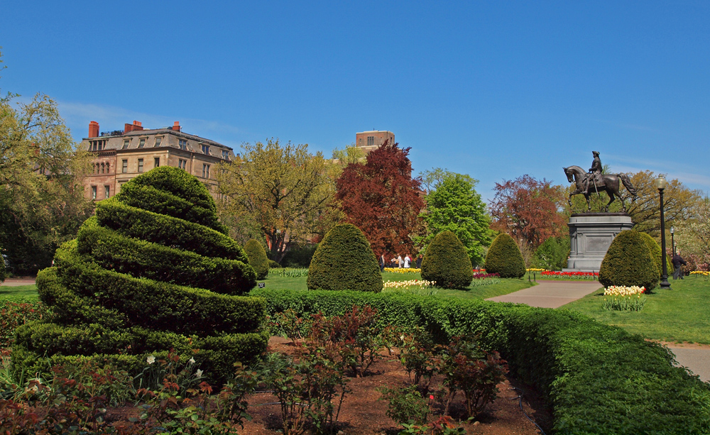 Rose garden and Washington Monument