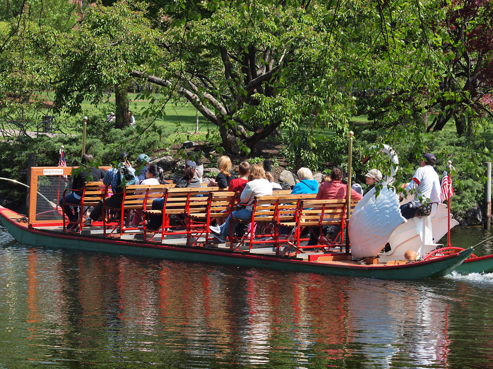 Swan Boat at the public gardens