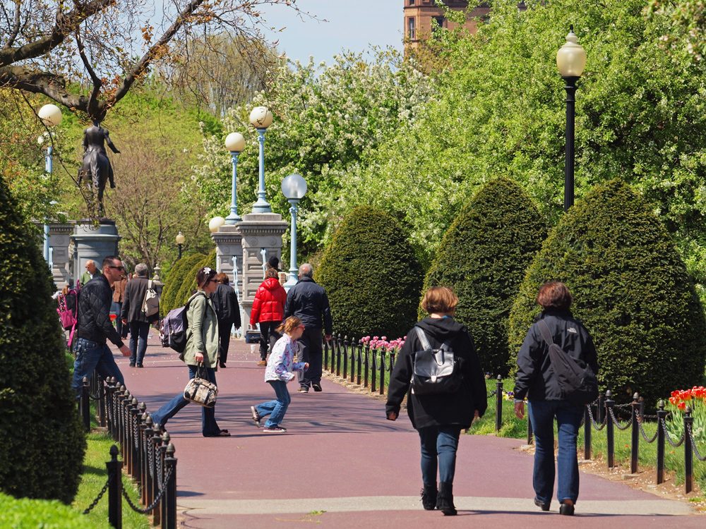 The Public Garden Pathways