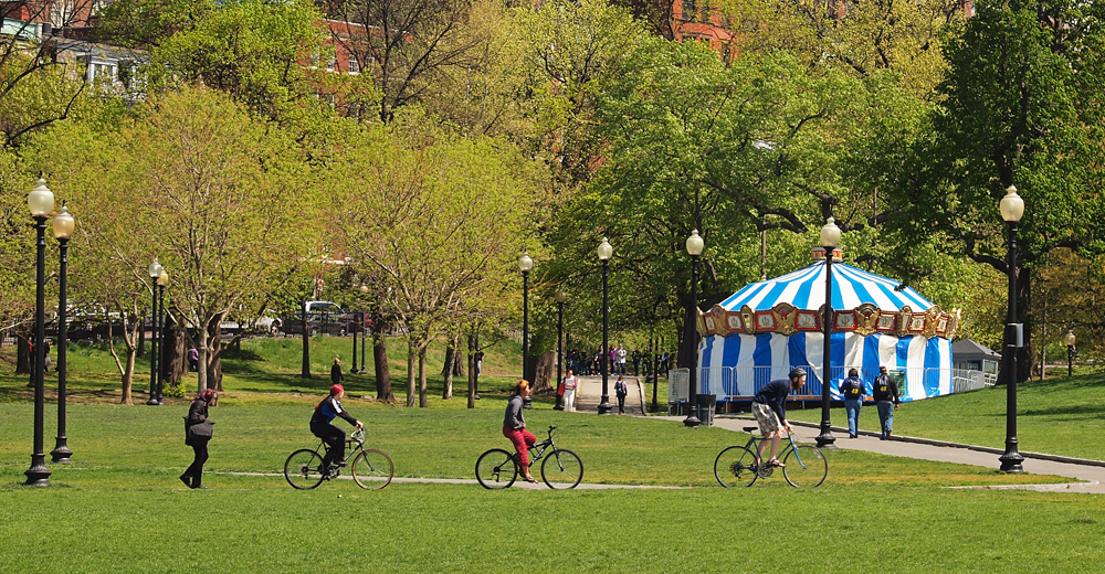 Bicycle Riding in a row.