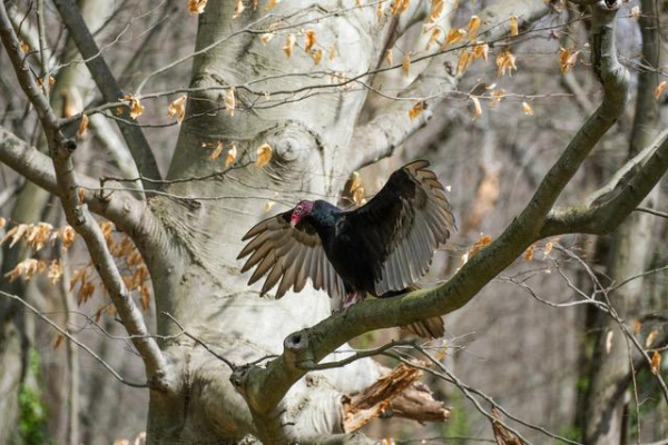 Did you get to the other side