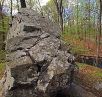 Rock Stegosaurus Like