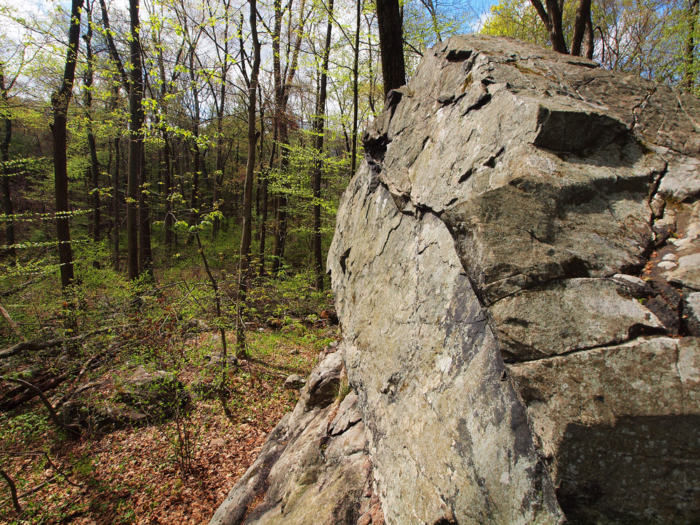 Bold Rock