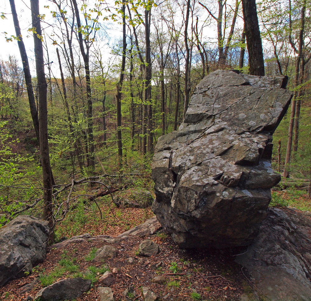 Stegosaurus Rock on the Dinosaur Trail