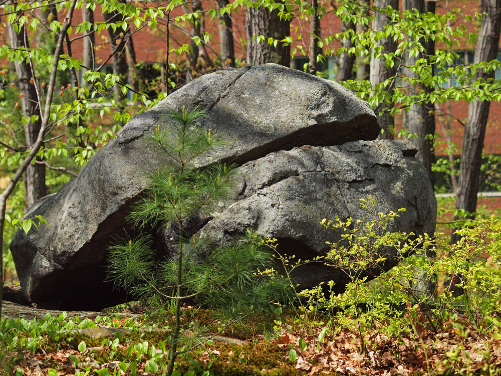 Bolder Rock