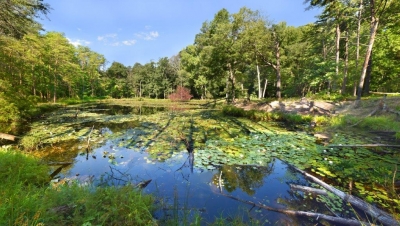  Revees Pond; Panel 1 No 6