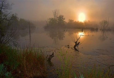 Little Patuxent River; Panel 5 No 2 
