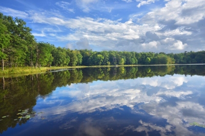 Redington lake; panel 1 No 10