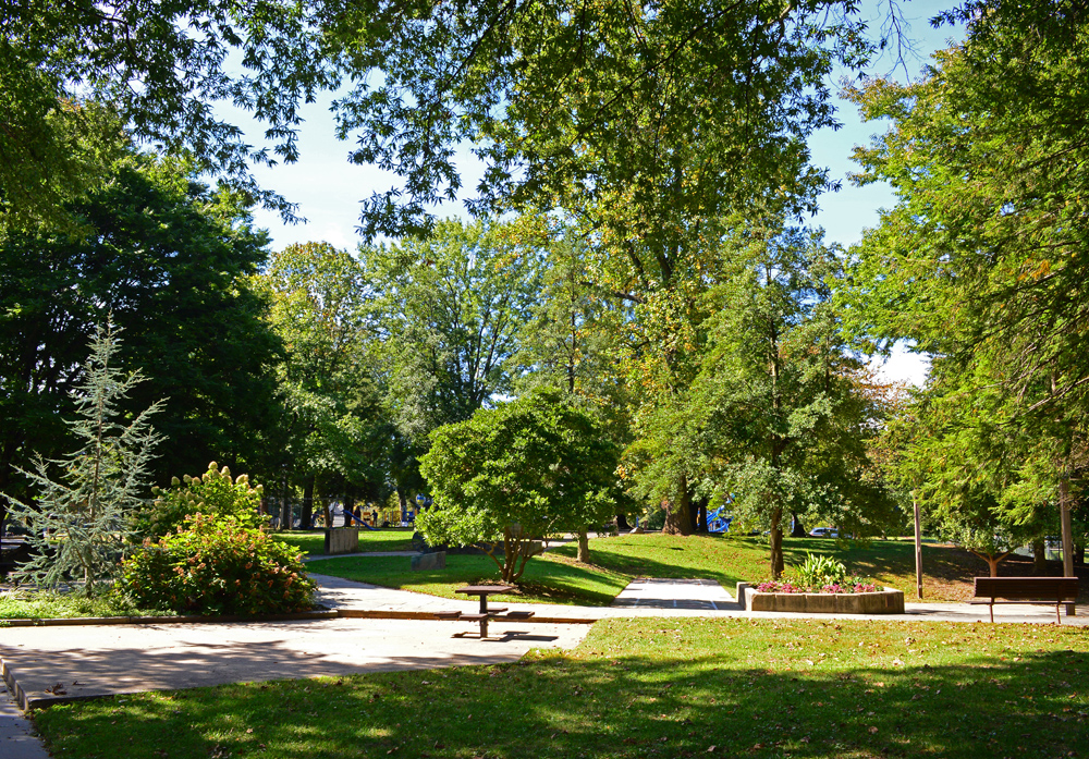 Park trees surround the walk way garden.