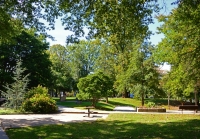 Park trees surround the walk way garden.