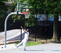 In the basket